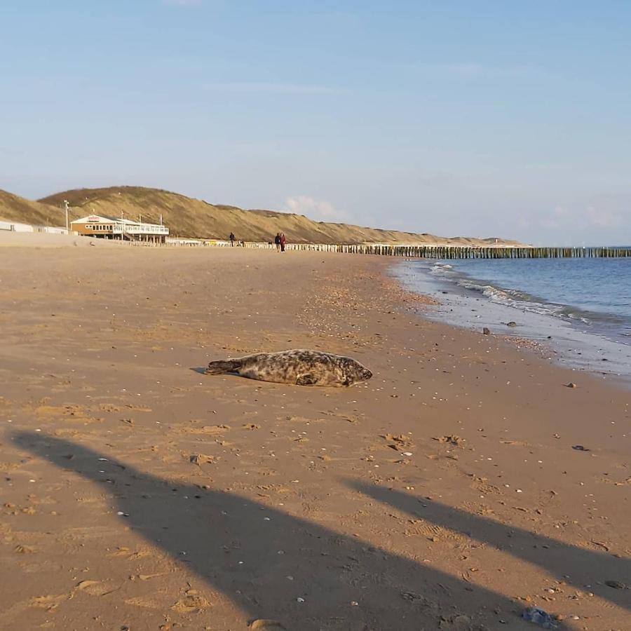 Dulce Tierra - Vakantiewoning Holiday home
